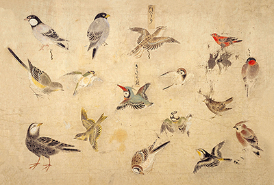 細川博昭先生 講演会『飼い鳥の歴史 ～日本人と鳥の2000年史～』